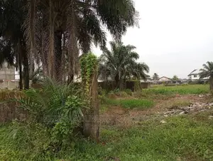 Land for Sale,Near Nkpolu Junction, Obi Wali, Rumuigbo