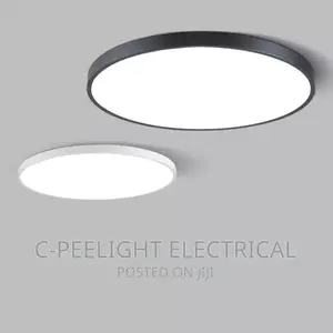 Led Ceiling Fitting