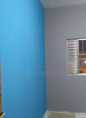 Beautiful House Painting Service