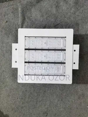 Canopy Light