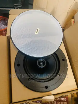 30watts Frameless Ceiling Speakers