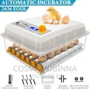 30 Eggs Incubator With Inbuilt Inverter Automatic Turner