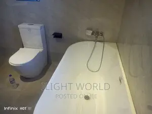 Professional Plumber 