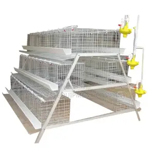 120 Birds Year 2024 Foreign Cage 25 Years Lifespan