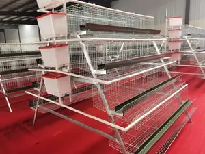 160 Birds Imported Cage With 25 Years Lifespan