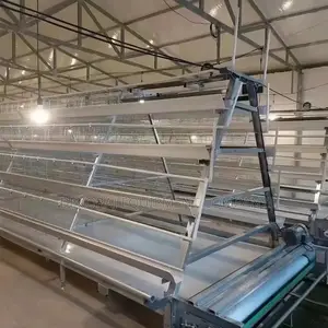 160 Birds Foreign Automatic Cage With Manure Cleaning System