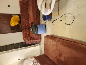 Upholstery/Sofa Cleaners