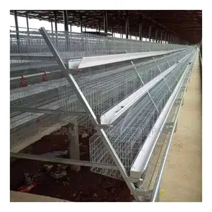 Unlocking Excellence: Super Cheap Imported 120 Layers Cage”