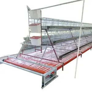 Excellence Unleashed: Premium Imported 96-birds Layers Cage”