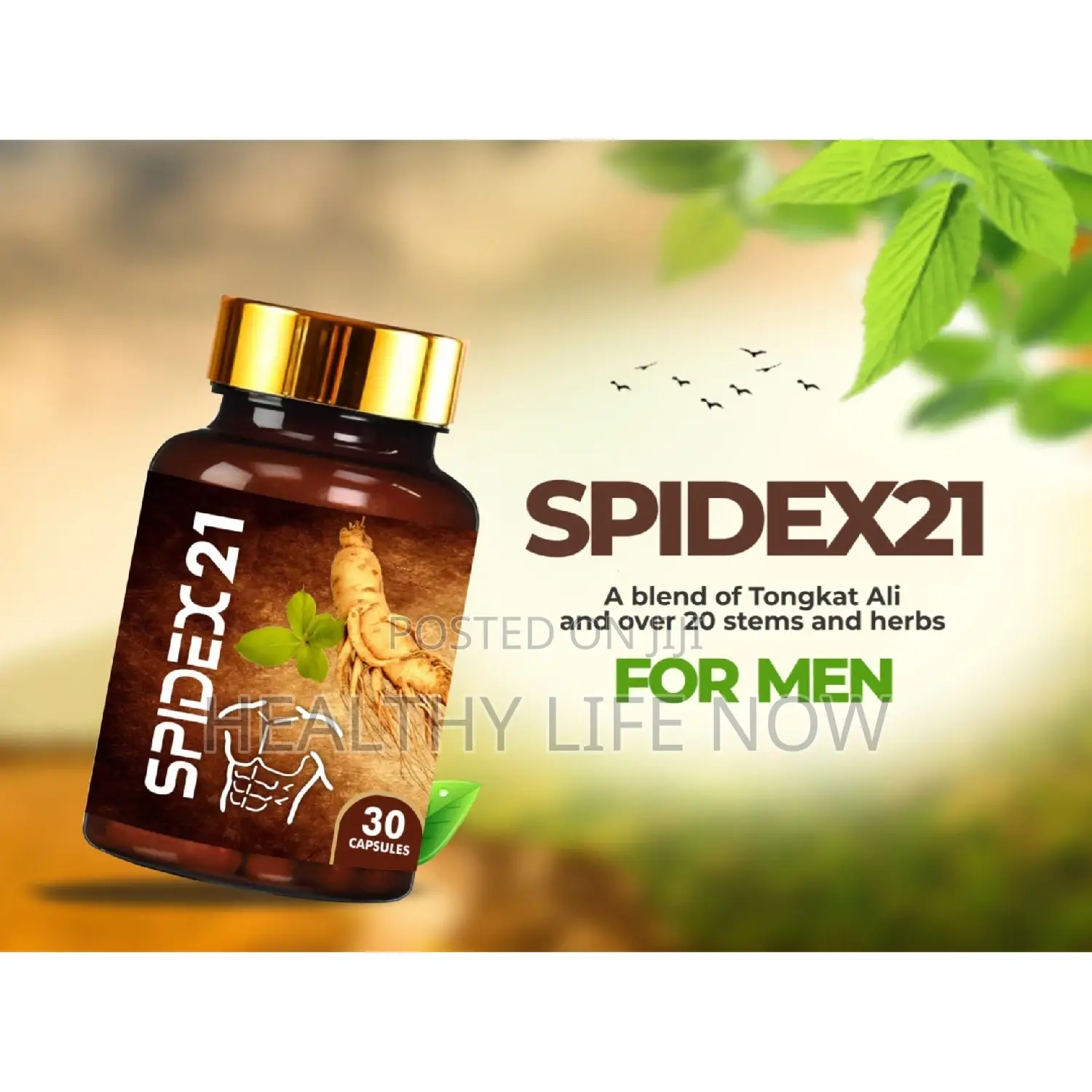 Spidex21 - Natural Herbal Remedy