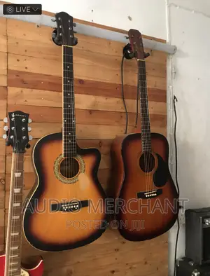Acoustic Guitars 41”