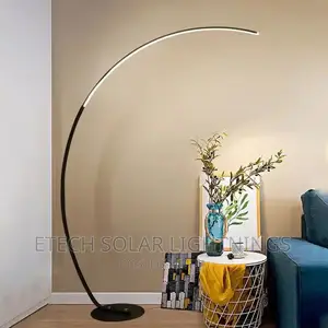 Luxury L E D Sitting Room, Living Room Floor Lamp/Light