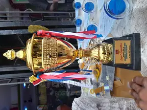 Trophy Award With Printing M900