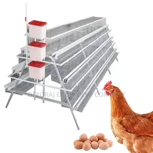 Boost ROI With 120 Durable Imported Layers Cages