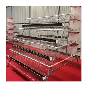 Upgrade Your Farm With 160-Birds Premium Imported Cages
