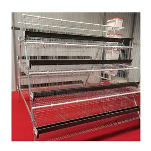 Boost Your Profits: 160-Bird Long-Lasting Imported Cages