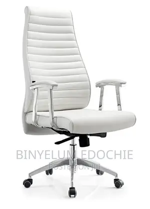Big Executive Chair