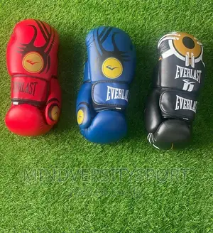 Everlast Boxing Gloves