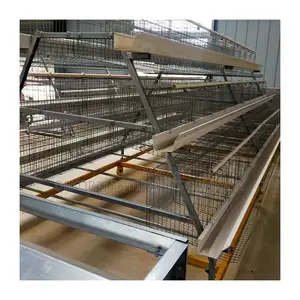 Game-Changing 120-Bird Imported Cages for Superior ROI