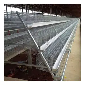 Power Your Farm: 120-Bird Durable Imported Layers Cages