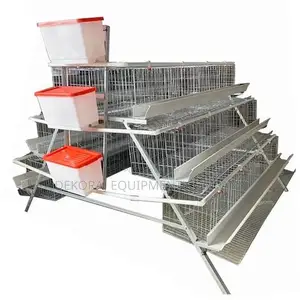 Thrive Specially in Farming: 96-Bird Durable Imported Cages