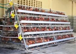 Budget-friendly Imported 160 Layers Cage: Top Quality!”