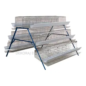 Best 96 Birds Imported Layers Cage: Unmatched Value