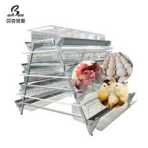 Durable 160 Birds Imported Cage: Unmatched Value”