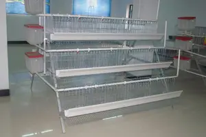 Sturdy120 Birds Imported Layers Cage:Budget-Friendly Option”