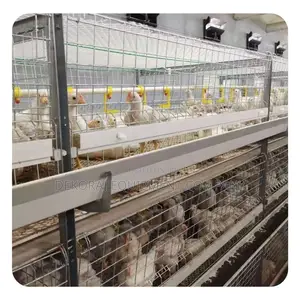 Economical H Type 120 Broiler Importedcage:Superior Quality”