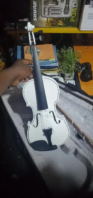 Professional Violin 4 by 4