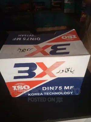 3X Battery