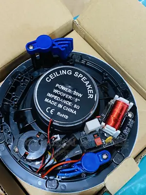 20watts Crossover Ceiling Speakers