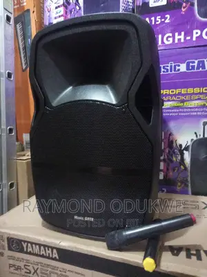 Big 15" Inch High Power Battery Bluetooth Wireless Speaker