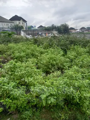 1⁄2 Plot of Land Off Eastern by Pass Ogbunabali Ph