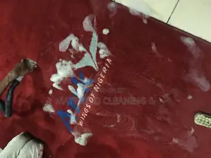 Carpet Rug Cleaning Services—-