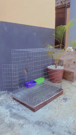 Dog Cages Available for Sale
