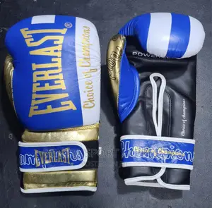 Everlast Boxing Gloves ( 100)