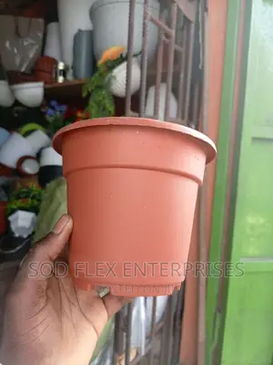 Small Beautiful Flower Pot
