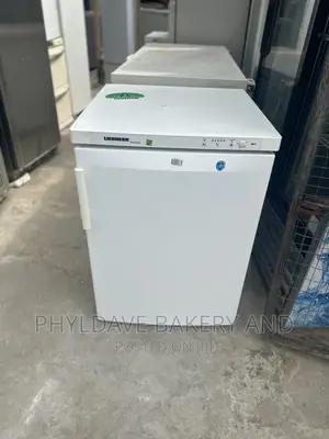 Liebher Premium Freezer Germany