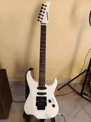 Rent a Professional Lead Guitar (Fernandes Brand) for Props
