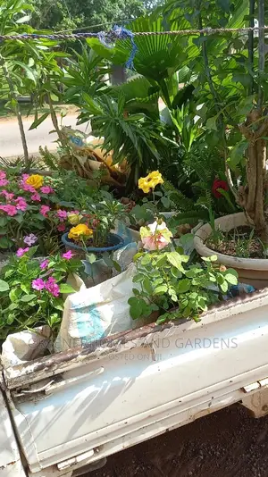 Plant Supplies