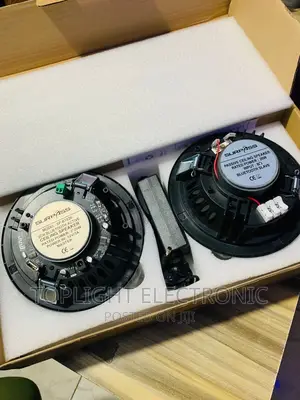 Double Bluetooth Ceiling Speaker