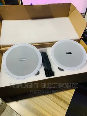 20watts Ceiling Speaker With Bluetooth