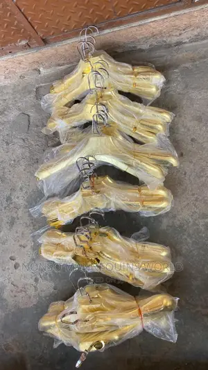 10 Pieces of Golden Clothes Hangers