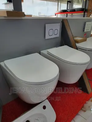Sweethome Concealed Tank With Wall Hung Wc