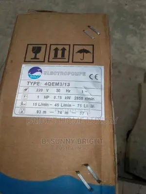 1HP Whale Submersible Pumping Machine