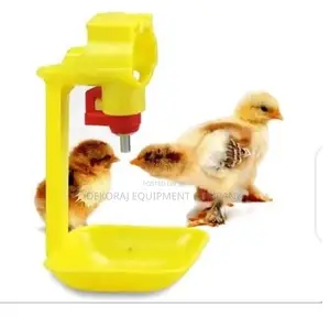 Birds Drinker for Birds