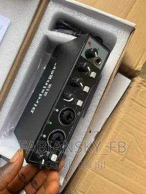 Original Prof Audio Interface 2i2, Birdsinger Product