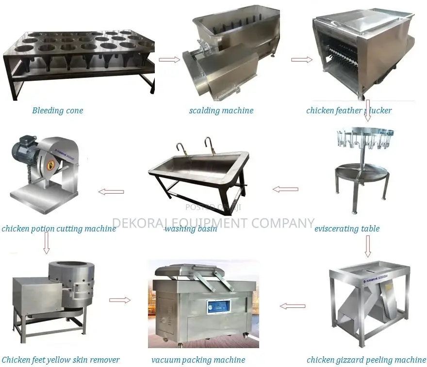Complete Chicken Processing Machinery Combo